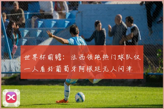世界杯前瞻：法西领跑热门球队仅一人看好葡萄牙阿根廷无人问津