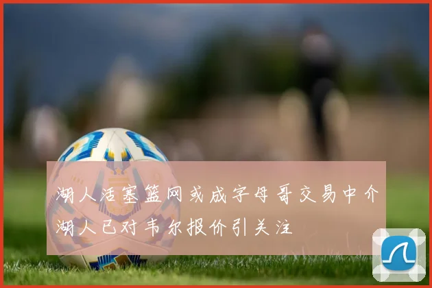 湖人活塞篮网或成字母哥交易中介湖人已对韦尔报价引关注